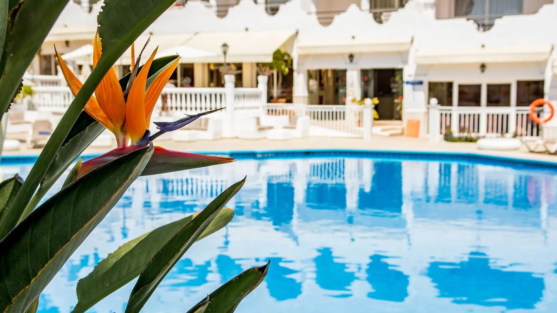 Casa Eva Apartment Marbella